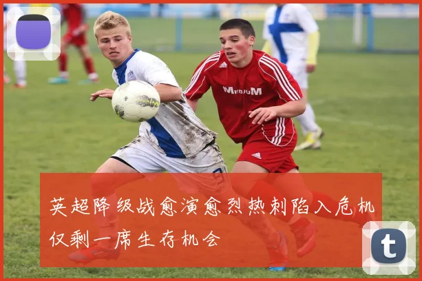 英超降级战愈演愈烈热刺陷入危机仅剩一席生存机会