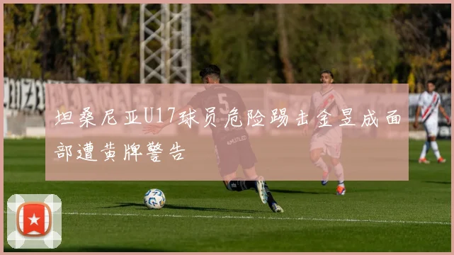 坦桑尼亚U17球员危险踢击金昱成面部遭黄牌警告