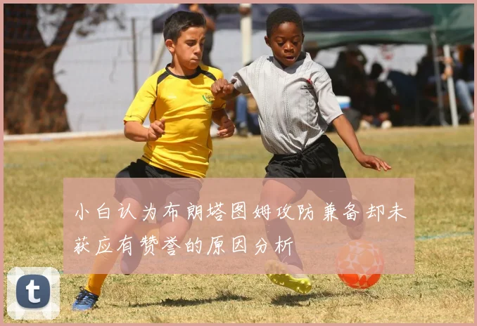 小白认为布朗塔图姆攻防兼备却未获应有赞誉的原因分析
